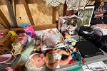 Sale Photo Thumbnail #7