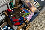 Sale Photo Thumbnail #7