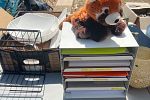 Sale Photo Thumbnail #20