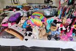 Sale Photo Thumbnail #19