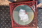 Sale Photo Thumbnail #15