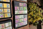 Sale Photo Thumbnail #14