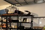 Sale Photo Thumbnail #23