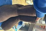 Sale Photo Thumbnail #11