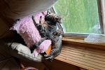 Sale Photo Thumbnail #44