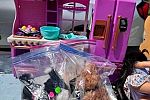 Sale Photo Thumbnail #10