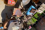 Sale Photo Thumbnail #24