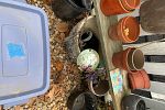 Sale Photo Thumbnail #13