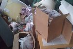 Sale Photo Thumbnail #21