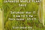 Sale Photo Thumbnail #1