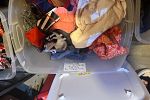 Sale Photo Thumbnail #14