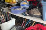 Sale Photo Thumbnail #40