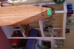 Sale Photo Thumbnail #15