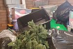 Sale Photo Thumbnail #29