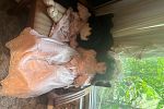 Sale Photo Thumbnail #49