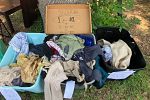 Sale Photo Thumbnail #16