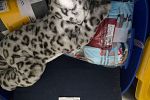Sale Photo Thumbnail #11