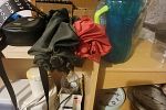 Sale Photo Thumbnail #19