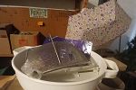 Sale Photo Thumbnail #18