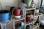 Sale Photo Thumbnail #20