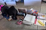 Sale Photo Thumbnail #10
