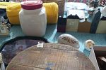 Sale Photo Thumbnail #6