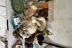 Sale Photo Thumbnail #11