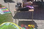 Sale Photo Thumbnail #13