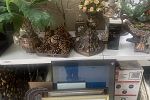 Sale Photo Thumbnail #31