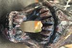 Sale Photo Thumbnail #26