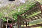 Sale Photo Thumbnail #27