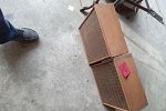 Sale Photo Thumbnail #4