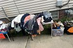 Sale Photo Thumbnail #15