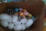Sale Photo Thumbnail #15