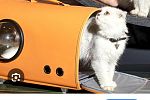 Sale Photo Thumbnail #30