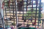 Sale Photo Thumbnail #47