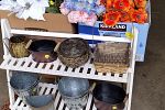 Sale Photo Thumbnail #13