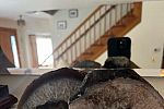 Sale Photo Thumbnail #84