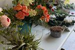 Sale Photo Thumbnail #63
