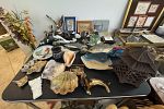 Sale Photo Thumbnail #61