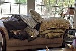 Sale Photo Thumbnail #25