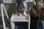 Sale Photo Thumbnail #29