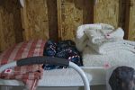 Sale Photo Thumbnail #28