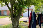 Sale Photo Thumbnail #6