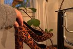 Sale Photo Thumbnail #7
