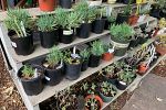 Sale Photo Thumbnail #40