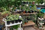 Sale Photo Thumbnail #42