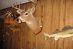 Sale Photo Thumbnail #24
