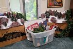 Sale Photo Thumbnail #256