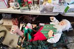 Sale Photo Thumbnail #10